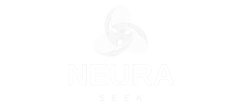NeuraSeek Logo
